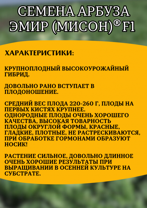 ЭМИР (МИСОН) F1 семена арбуза