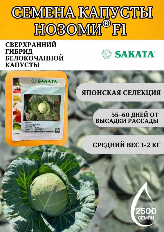 Нозоми F1 2500 штук cемена капусты белокочанной