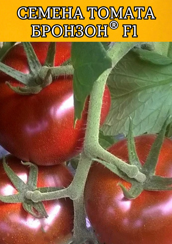 Бронзон F1 1000 штук cемена томата