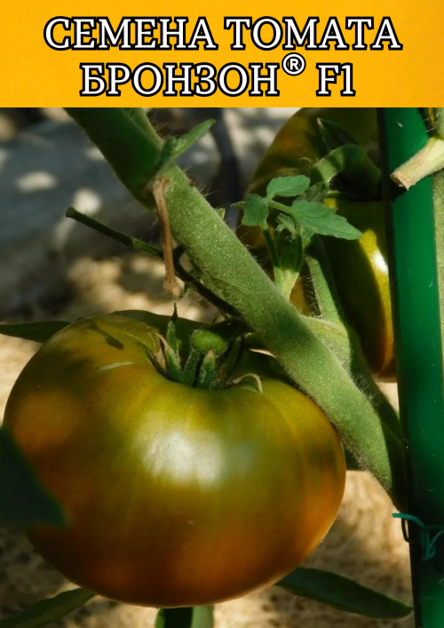 Бронзон F1 1000 штук cемена томата