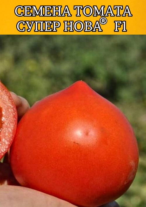 Супер Нова F1 (Примо Ред F1) 1000 штук семена томата