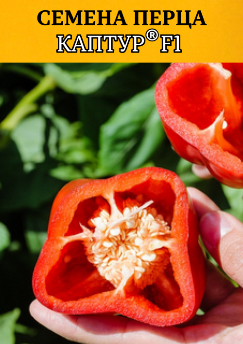 Каптур F1 семена сладкого перца КАПИЯ