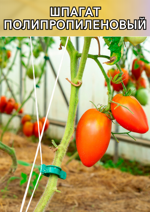 Шпагат для теплицы