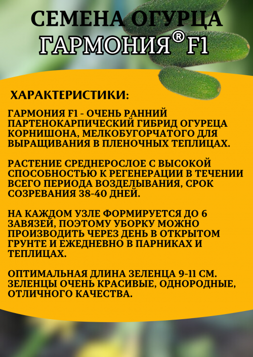 Гармония F1 семена огурца