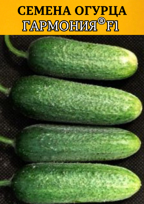 Гармония F1 семена огурца