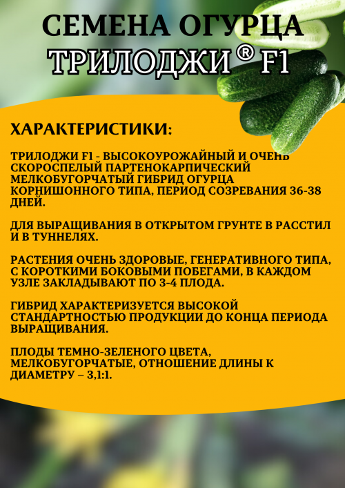 Трилоджи F1 семена огурца