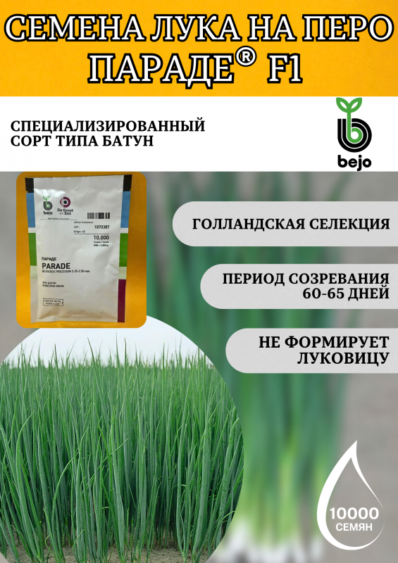 Параде F1 семена лука на перо (2.25-2.50mm)