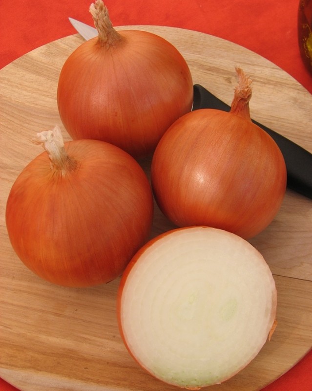 Медуза F1 семена лука репчатого 250 000 штук