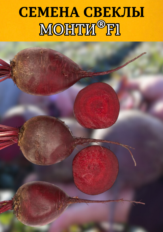 Монти F1 семена свеклы