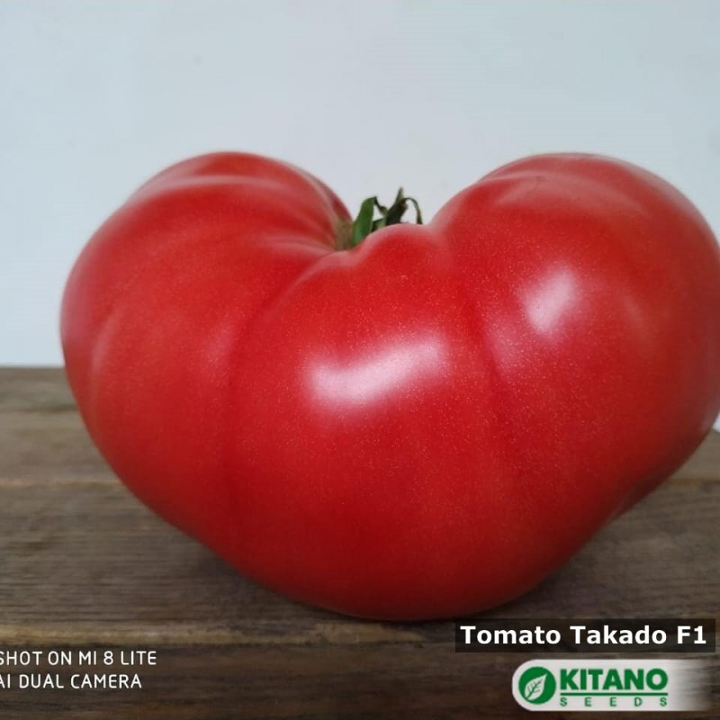 Такадо F1 семена томата