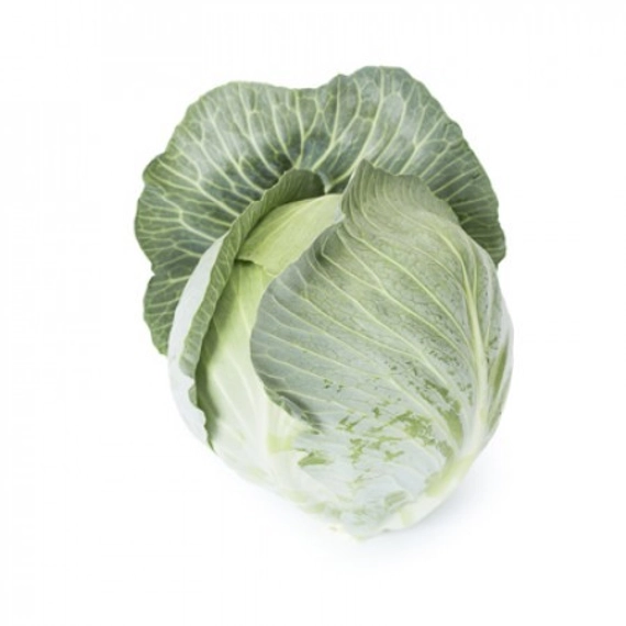 Аксиома F1 семена белокочанной капусты