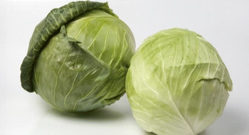 СВ 3336 ЖБ F1 семена белокочанной капусты 2500 штук