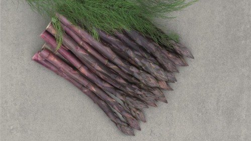 Эразмус F1 спаржа 500 семян