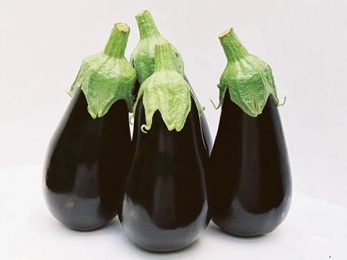 Блэк Перл F1 баклажан