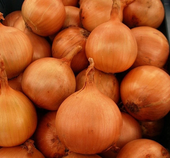 Ироко F1 лук репчатый 250 000 семян