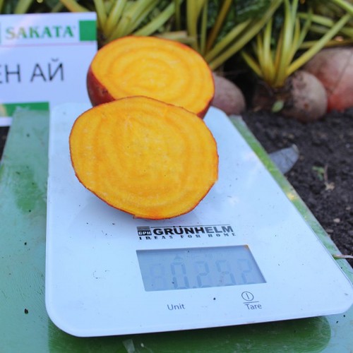 Голден Ай свекла 50 000 семян