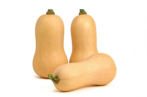 Миелуна F1 тыква 1000 семян