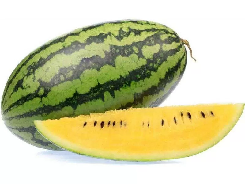 AS 3023 F1 арбуз 1000 семян