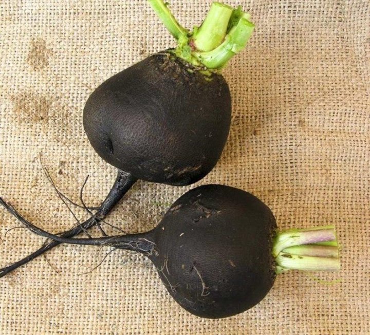 AS 030 F1 редька 10 000 семян