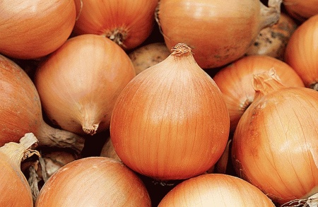 Бурса F1 лук 250 000 семян